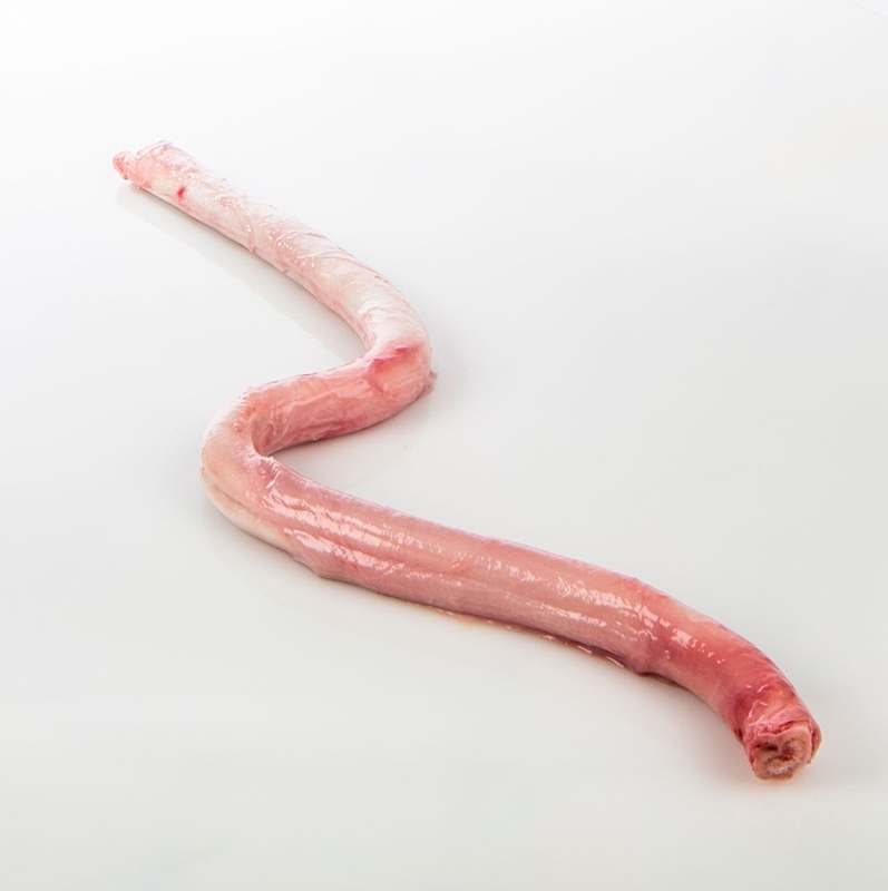 牛鞭