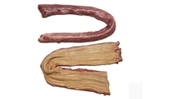 牛喉管